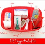 First Aid Kit Essentials For Pets: What Do I Need?