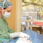 10 Rules to Help Care for Your Dog After Surgery