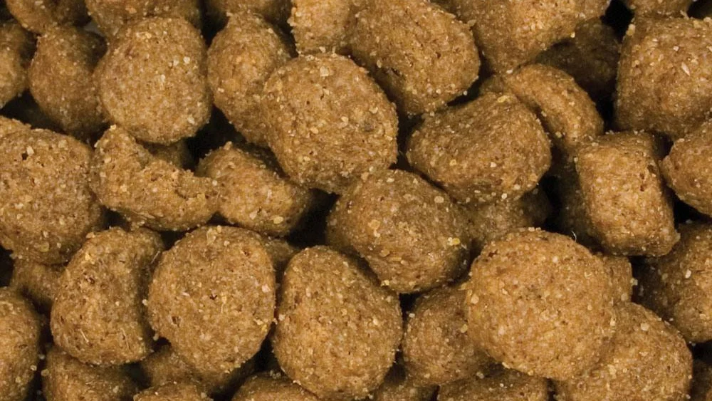 Eukanuba Dog Food Recall History: How to Check Current Alerts