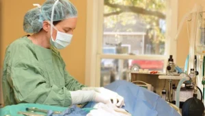 Dog Surgery Aftercare: 10 Rules for a Safer Recovery