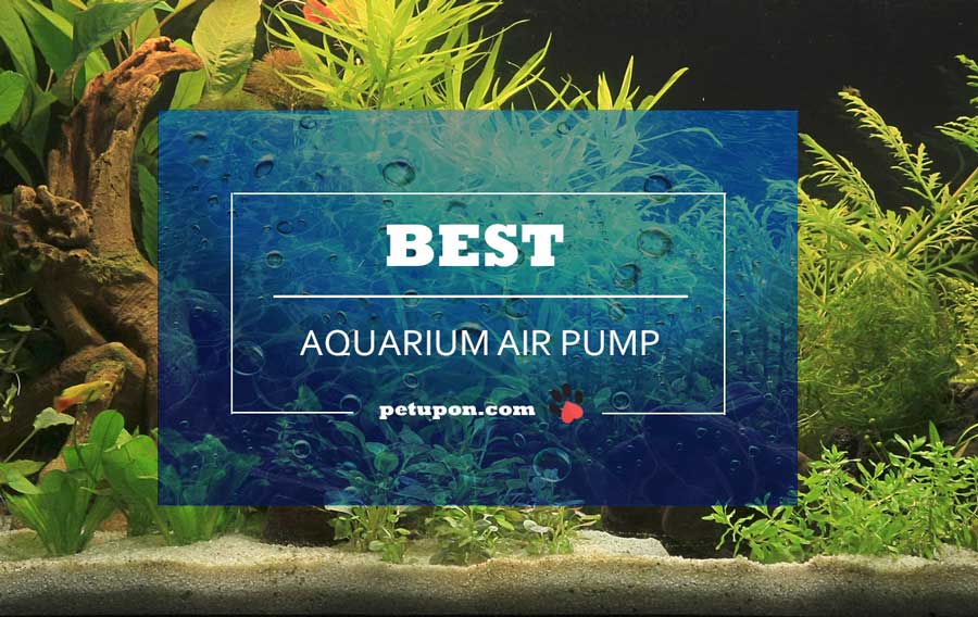 best aquarium air pump