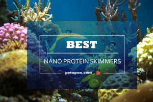 Nano Protein Skimmers