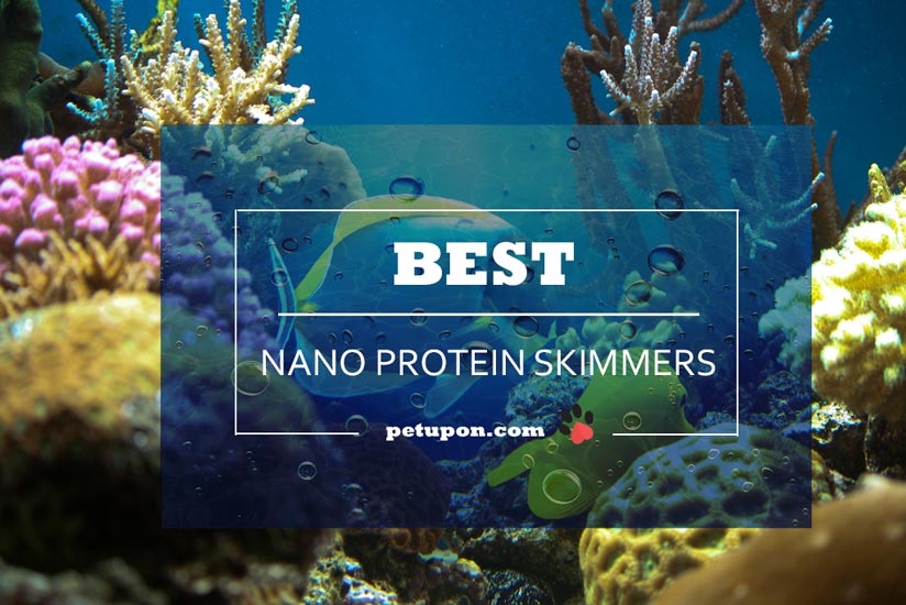 Nano Protein Skimmers