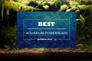 aquarium powerheads