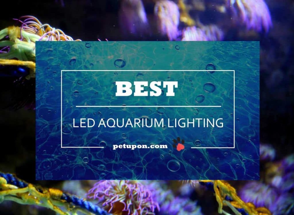 led aquarium lighting