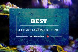 led aquarium lighting