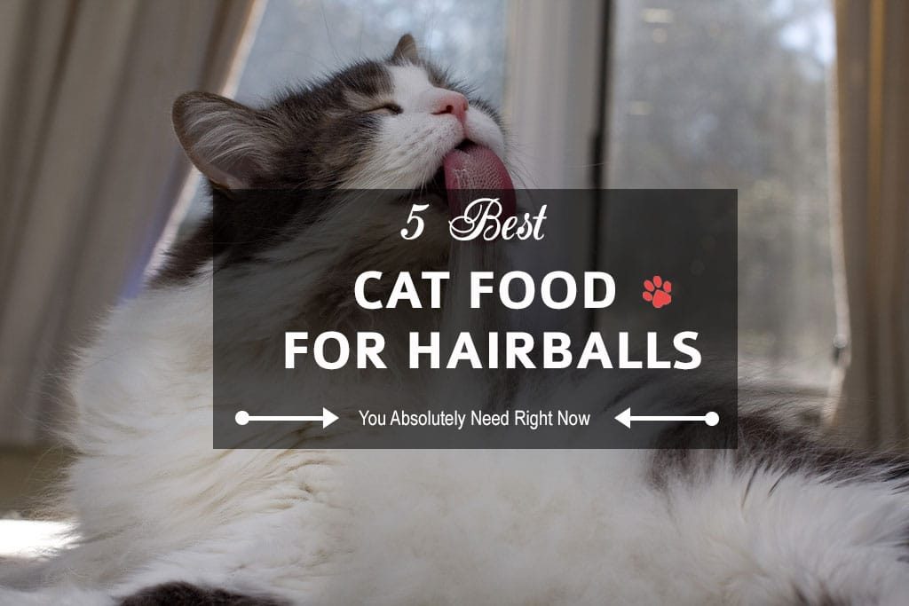 hairballs cat foods