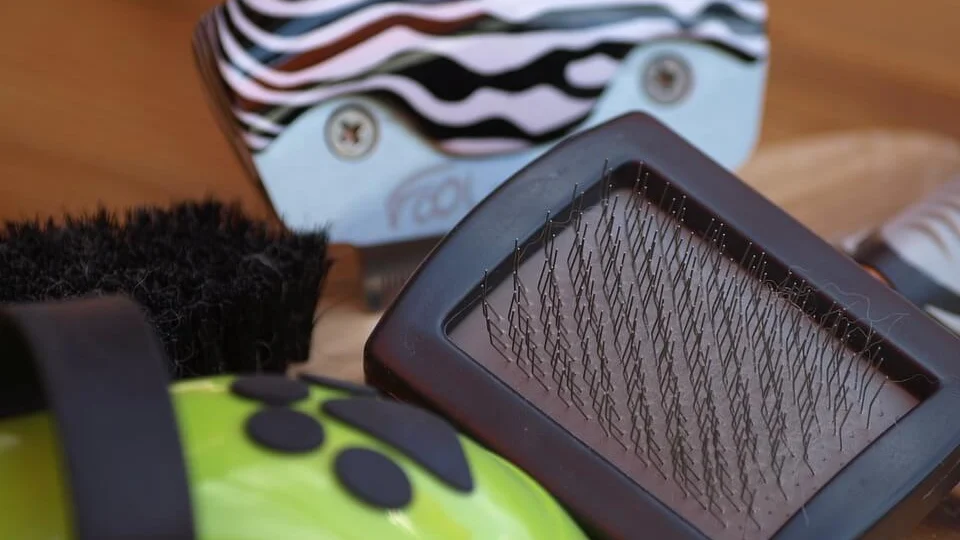 Best Dog Brush for Shedding: Choose by Coat Type