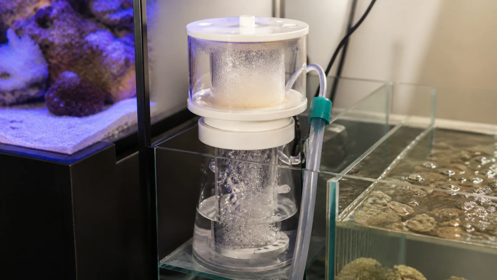 Best Nano Protein Skimmers: A Practical Selection Guide